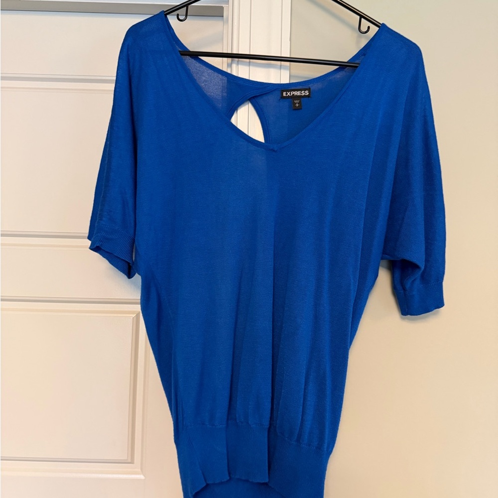 Express Royal Blue V-Neck Knit Top